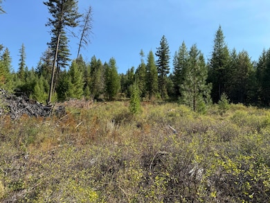 TBD Saint Peters Creek Rd, Malo, WA 99150 - photo 2