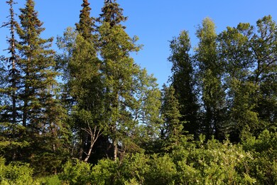 Stone River Lot 6 (5)