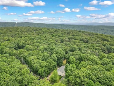 2236EaglePath_55180_4