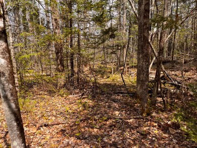 Lot3A Gardiner Rd, Jefferson, ME 04348 - photo 3