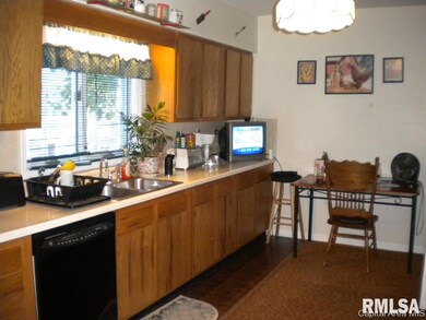 231 E Springfield St, Virginia, IL 62691 - photo 7