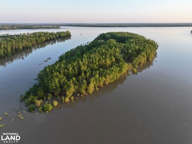 002 Arcadia Rd, Fitler, MS 39159 - photo 6