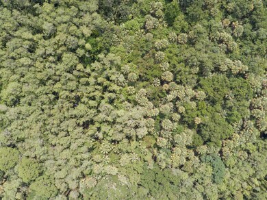 JPEG of 20080 SE Mack Dairy Rd. Lot