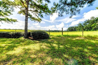 21638 Belgian Ct, Mount Dora, FL 32757 - photo 6