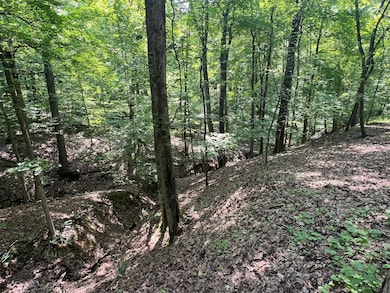 Lot View-Ravine