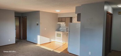 102 Lake Ave S unit 4, Spicer, MN 56288 - photo 3