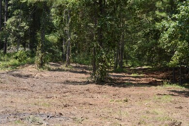 Cleared lot