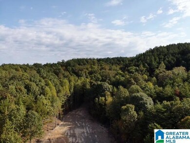 0000 Brooks Dr unit 1, Brookside, AL 35068 - photo 7