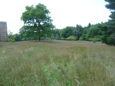 P1050524