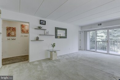 5390 Smooth Meadow Way, Columbia, MD 21044 - photo 3