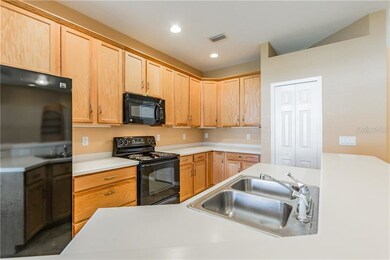 9921 Jasmine Brook Cir, Land O Lakes, FL 34638 - photo 5