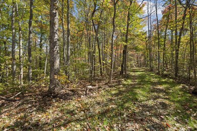 Tract 7 Sheep Ranch Rd, Robbins, TN 37852 - photo 2