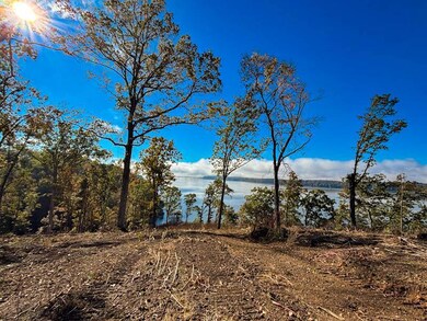 3 Lake Bend Shores, Florence, AL 35633 - photo 6