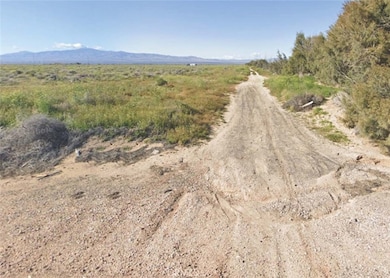 9800 Avenue C-8, Antelope Acres, CA 93536 - photo 2