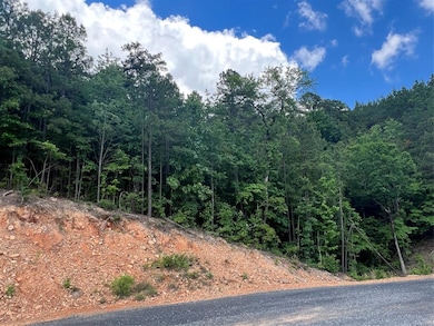 View of asphalt road featuring a wooded view