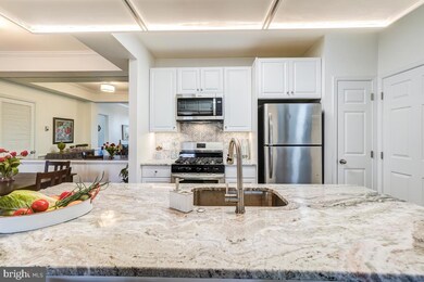 46630 Drysdale Terrace unit 200, Sterling, VA 20165 - photo 3