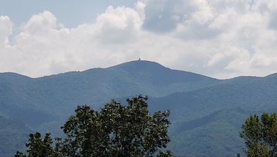 LT17 Mill Ridge Rd, Hiawassee, GA 30546 - photo 2