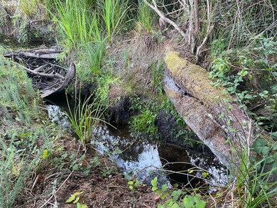 0 Bill Creek Ln unit 24350870, Bandon, OR 97411 - photo 6
