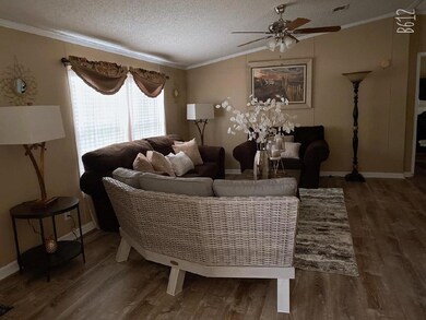 897 Attapulgus Climax Rd, Climax, GA 39834 - photo 3