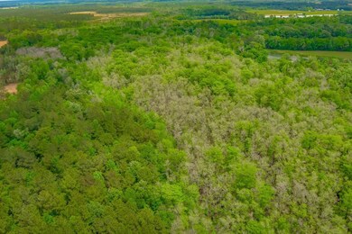 0 Pee Dee Hwy unit 25650621, Conway, SC 29527 - photo 5