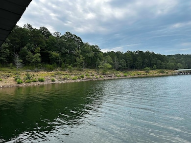 Lot 14 Thompson Cove Ln, Shirley, AR 72153 - photo 3