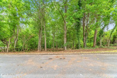 4-web-or-mls-Lot 51 Orchard Knob-5