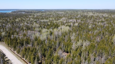 DJI_0744
