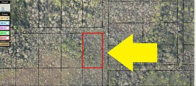 2941233 -3-