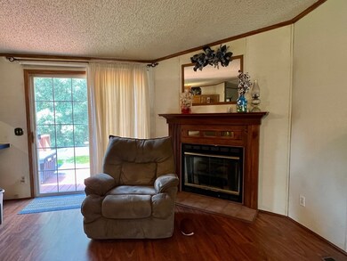 1857 Silas Dodd Ln, Dry Fork, VA 24549 - photo 5