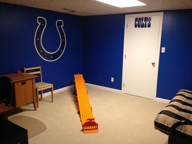 Bedroom in basement. Huge walkin closet