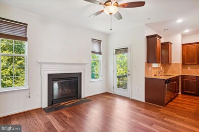 23204 Scholl Manor Way unit 1314, Clarksburg, MD 20871 - photo 5