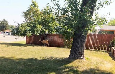 Side yard