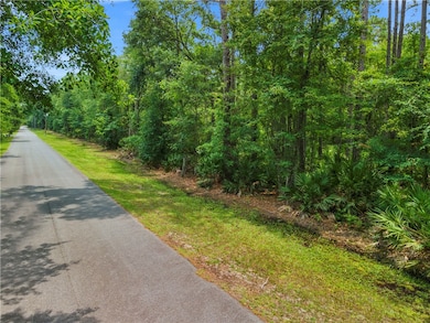 0 Manchester Place Rd, Townsend, GA 31331 - photo 4