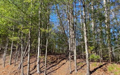 Additional View