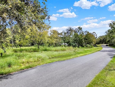 15325 Trousdale St, Clermont, FL 34715 - photo 7