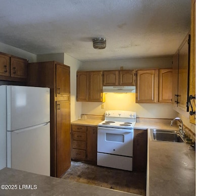 20868 Solomon Blatt Ave, Blackville, SC 29817 - photo 3