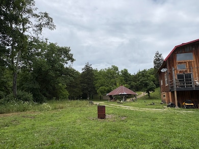 421 N Emory Creek Rd, Walnut Shade, MO 65771 - photo 4