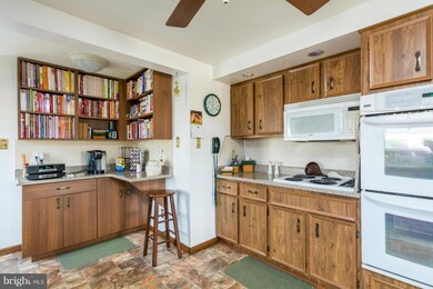 1006 Waite Ave, Sykesville, MD 21784 - photo 5