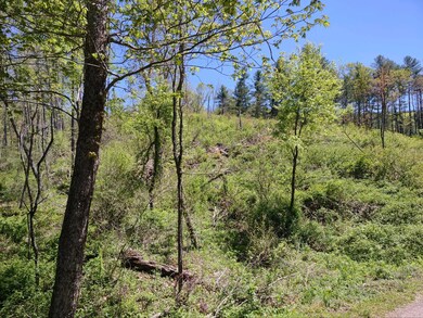 IMG_20220509_142410491
