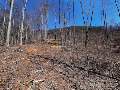 0 Rocky Face Dr unit RF-2, Canton, NC 28716 - photo 5