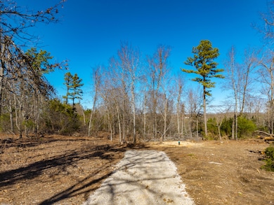 Lot D Malberg Rd, Cabool, MO 65689 - photo 7