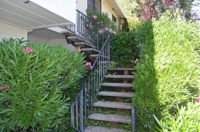 Front Entry Concrete Stairs.