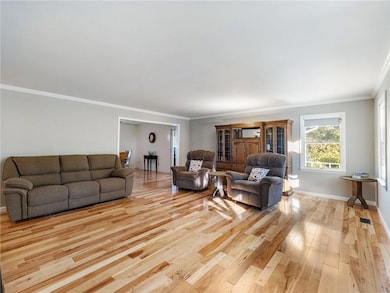 849 Blacksnake Rd, Mount Airy, GA 30563 - photo 6