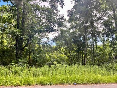 8946 Anderson Rd, Adams Run, SC 29426 - photo 5