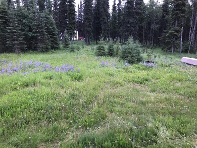level 3 acre lot