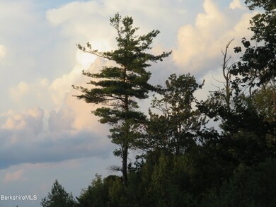 0 Johnny Cake Hill Rd unit 246420, Middlefield, MA 01243 - photo 6