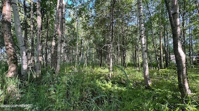 Woods