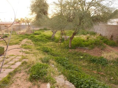 Uneven Yard with Run Off Water