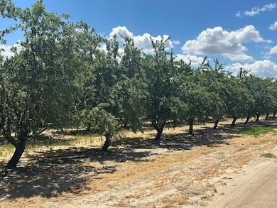 10255 Manning Ave, Fresno, CA 93706 - photo 3