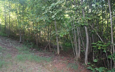 Additional View